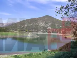 Леса атракција кај Тиквешко Езеро 1